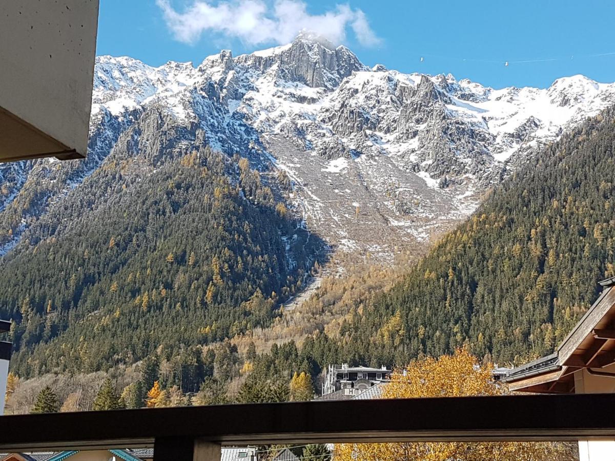 Vue Brevent Sublime En Centre Ville Avec Parking Prive Chamonix ภายนอก รูปภาพ